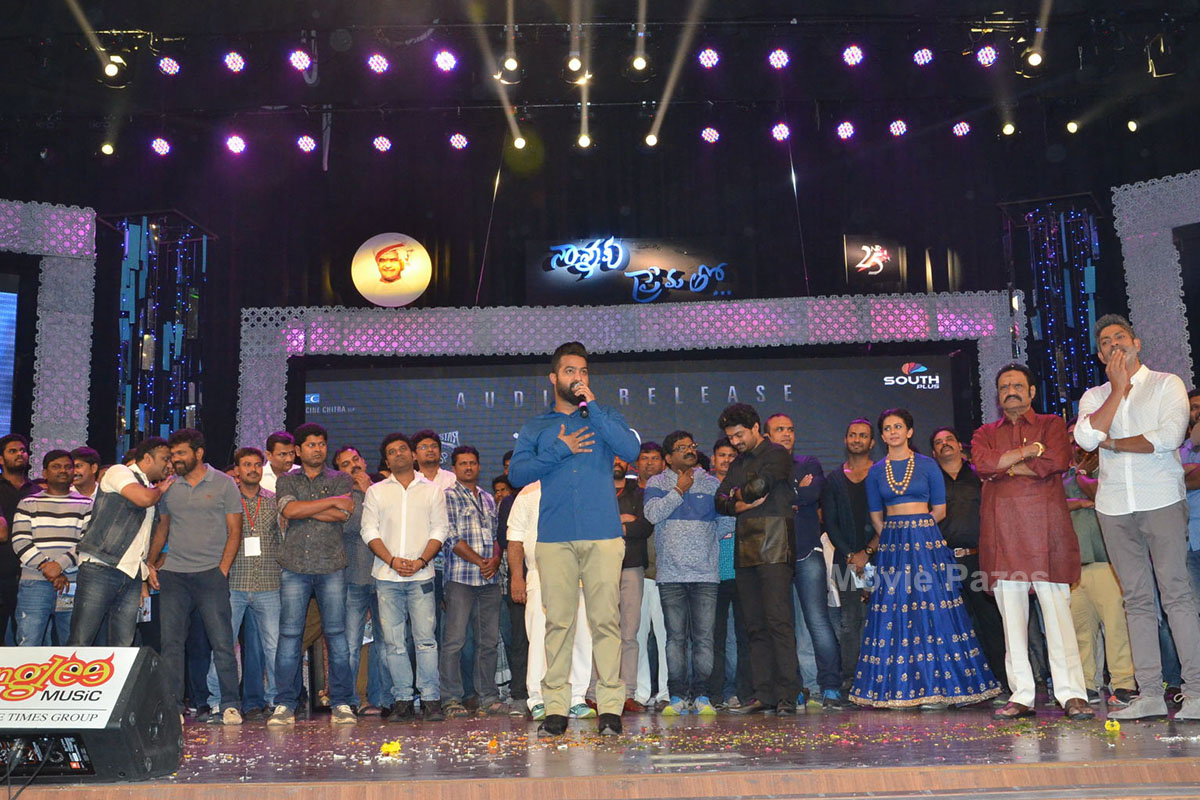 Nannaku Prematho Audio Function